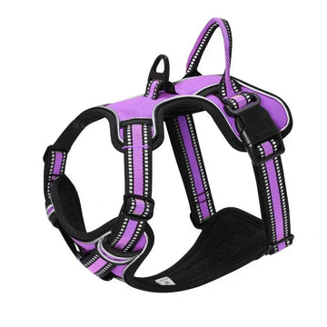 No-Pull Reflective Nylon Dog Harness