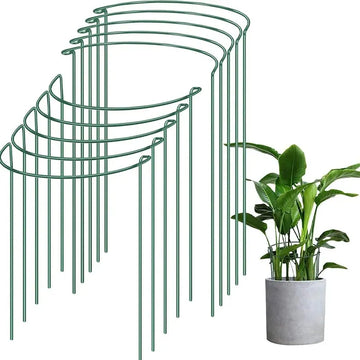 6pcs Green Metal Plant Supports – Half-Round Cage Flowers